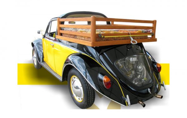 Volkswagen Beetle Pick-Up